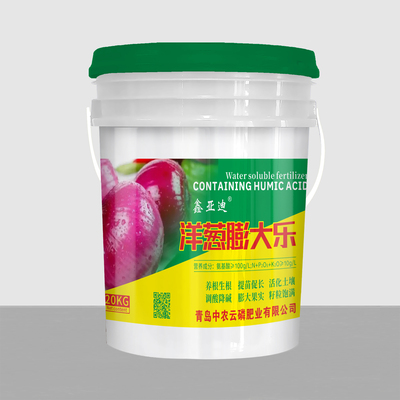 洋葱膨大乐